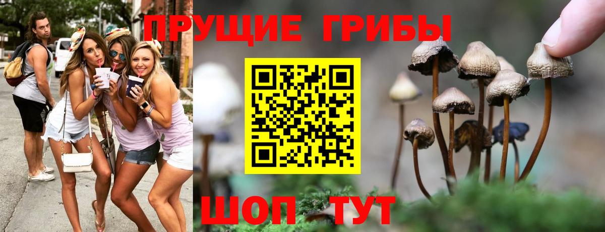 Псилоцибиновые грибы мухоморы Волжский